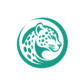 Tests For Companies